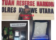 Diduga Edarkan Narkotika Jenis Sabu, Wanita di Konawe Utara Ditangkap Polisi