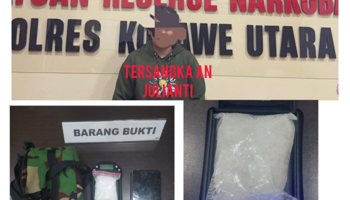 Diduga Edarkan Narkotika Jenis Sabu, Wanita di Konawe Utara Ditangkap Polisi