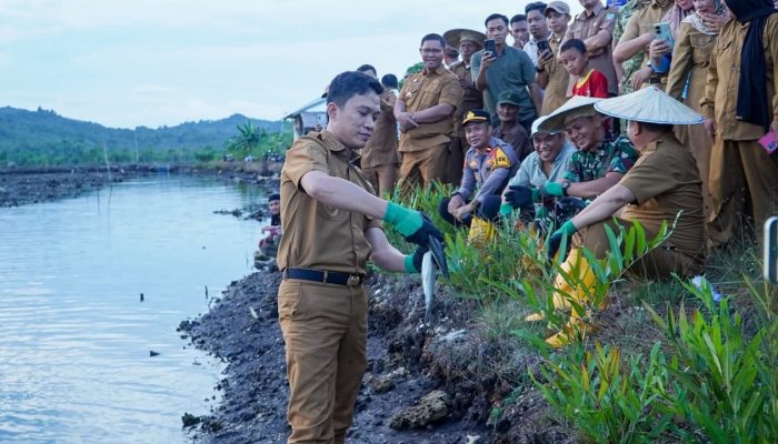 Terus Dukung Peningkatan Sektor Perikanan, Pemda Konut Panen Raya Ikan Bandeng