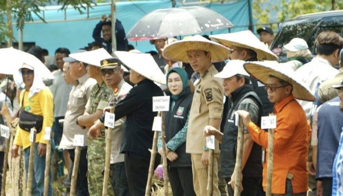 Program Catak Sawa Rakyat Mulai Dilaksanakan, Pemda Konut Siapkan Bibit, Pupuk dan Alsintan