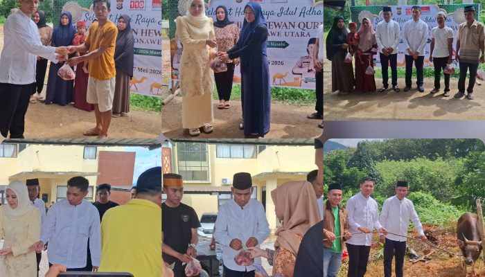 Momentum Hari Raya Idul Adha 2026 Masehi, Polres Konut Sembelih 22 Sapi Qurban